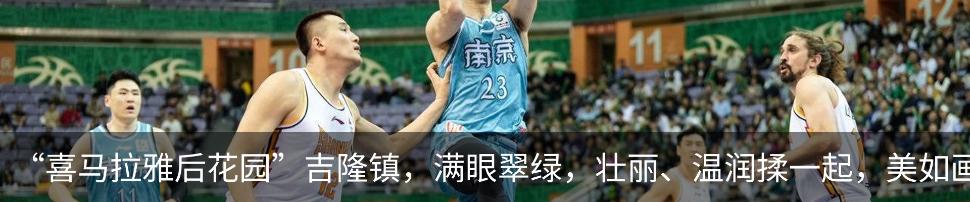 新闻动态